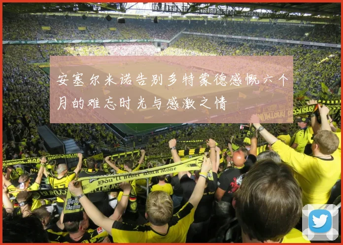 安塞尔米诺告别多特蒙德感慨六个月的难忘时光与感激之情