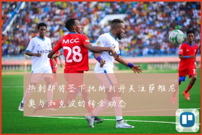 热刺即将签下托纳利并关注萨维尼奥与加克波的转会动态